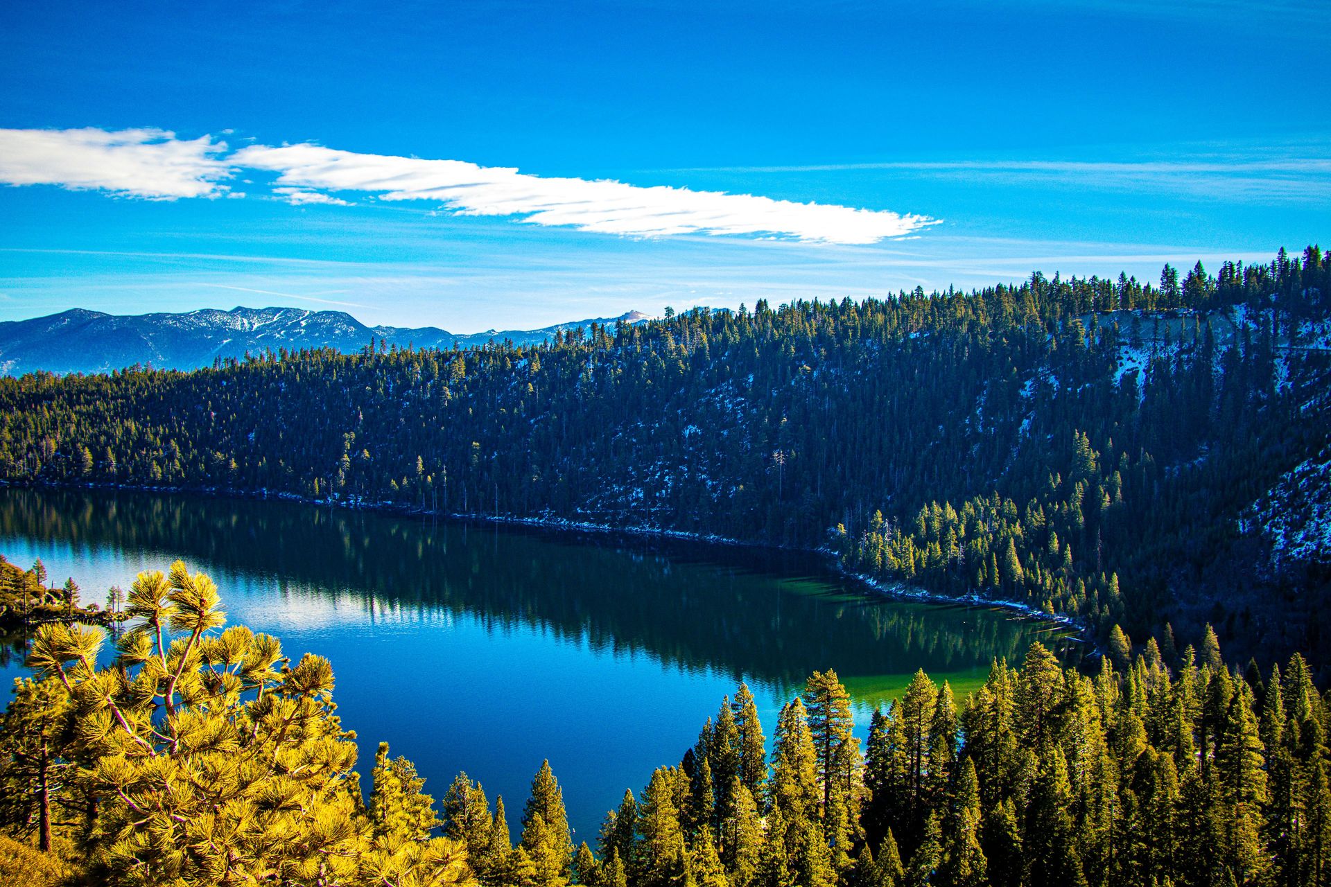 big bear_header